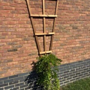 Thermowood Fan Trellis Plant Support